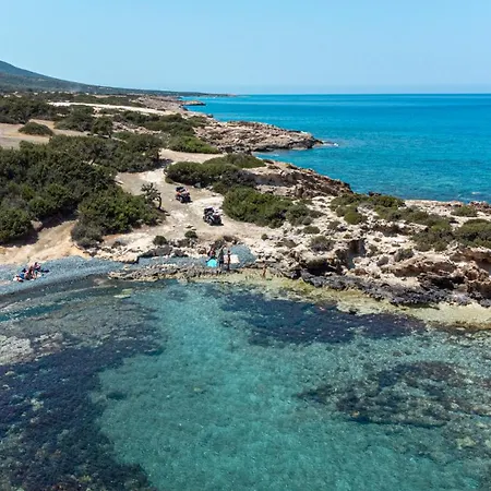 Diana Oasis 1b, Pool, Center Paphos