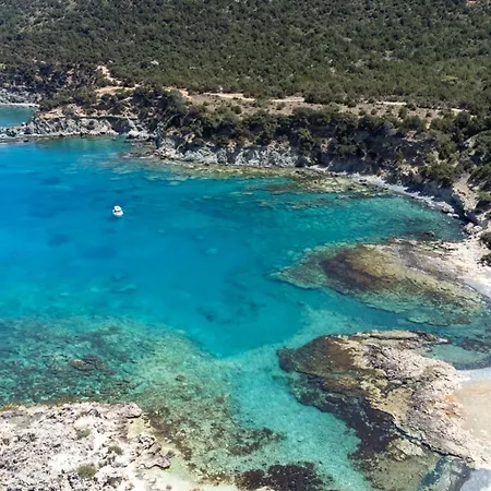 Diana Oasis 1b, Pool, Center *