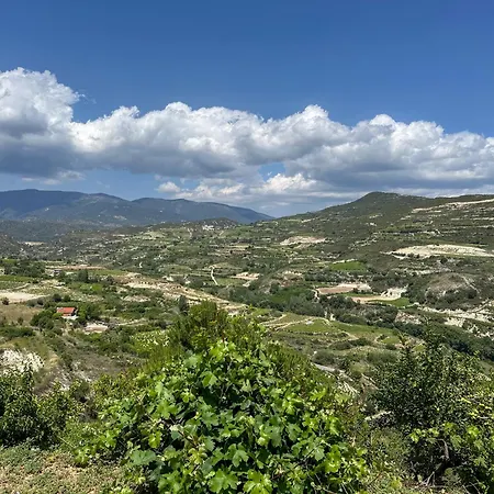 Diana Oasis 1b, Pool, Center Πάφος